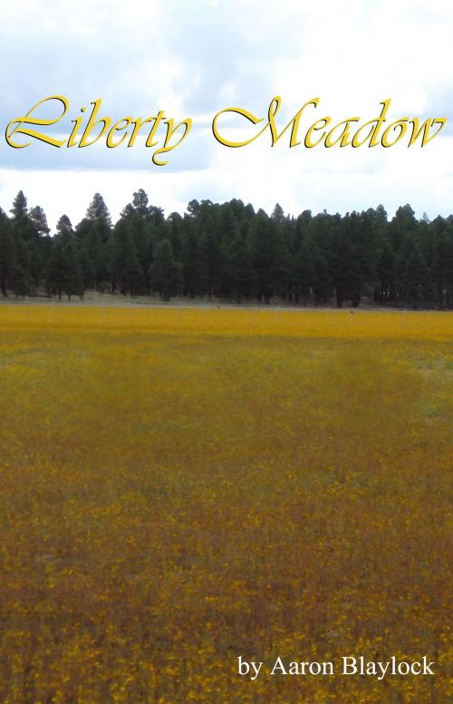 Cover of the book Liberty Meadow by Aaron Blaylock, Aaron Blaylock