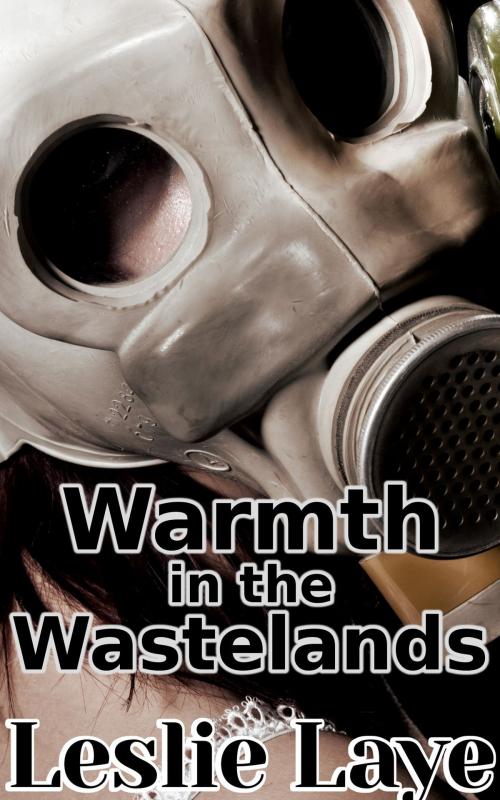 Cover of the book Warmth in the Wastelands by Leslie Laye, Thompson-Corner Publications