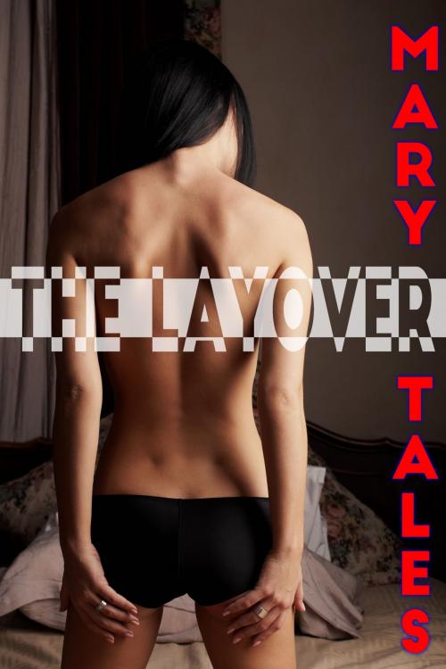 Cover of the book The Layover by Mary Tales, Mary Tales