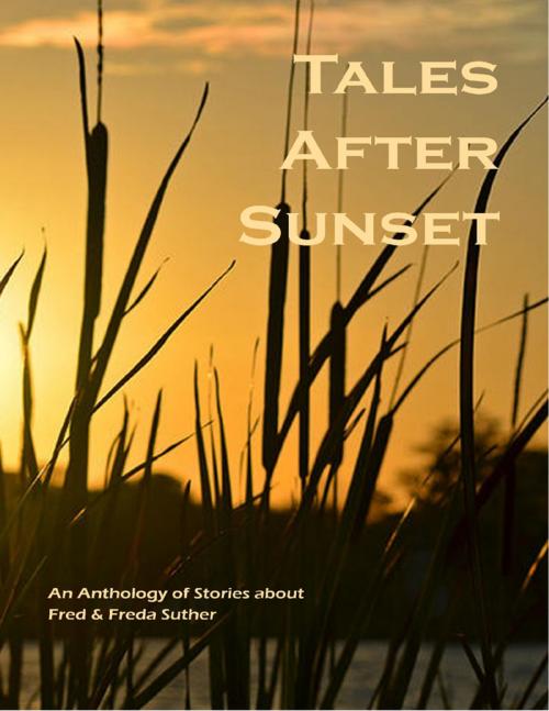 Cover of the book Tales After Sunset by Mary Gerstner, Lulu.com