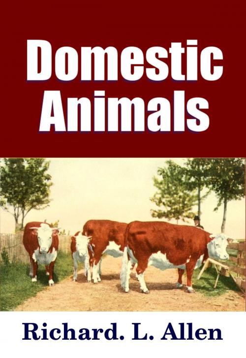 Cover of the book Domestic Animals by Midwest Journal Press, Richard L. Allen, Dr. Robert C. Worstell, Midwest Journal Press