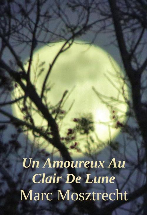 Cover of the book Un Amoureux Au Clair De Lune by Marc Mosztrecht, Marc Mosztrecht