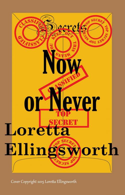 Cover of the book Now or Never by Loretta Ellingsworth, Loretta Ellingsworth