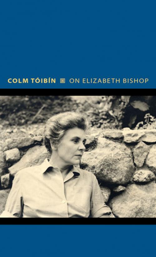 Cover of the book On Elizabeth Bishop by Colm Tóibín, Princeton University Press
