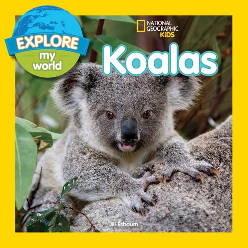 Cover of the book Explore My World Koalas by Jill Esbaum, National Geographic Society