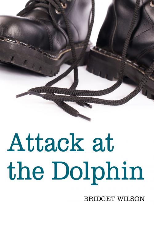 Cover of the book Attack at the Dolphin by Bridget Wilson, eBookIt.com