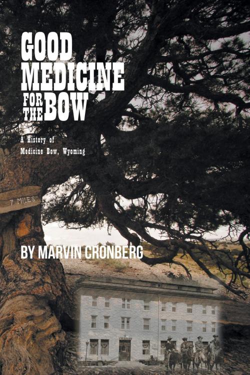 Cover of the book Good Medicine For the Bow by Marvin Cronberg, B.S., A.F.T., FriesenPress