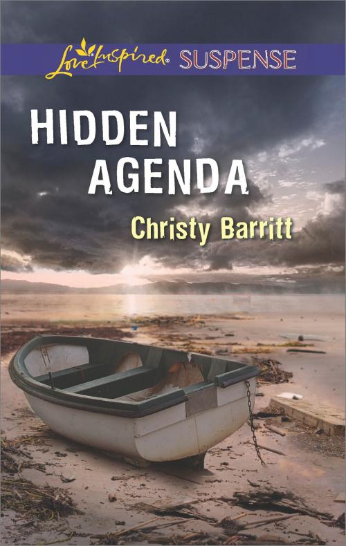 Cover of the book Hidden Agenda by Christy Barritt, Harlequin