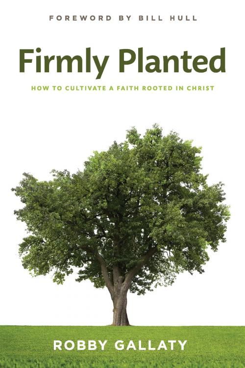 Cover of the book Firmly Planted by Robby Gallaty, B&H Publishing Group