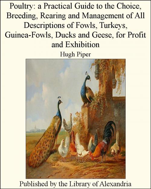 Cover of the book Poultry: A Practical Guide to the Choice, Breeding, Rearing and Management of All Descriptions of Fowls, Turkeys, Guinea-Fowls, Ducks and Geese, for Profit and Exhibition by Hugh Piper, Library of Alexandria
