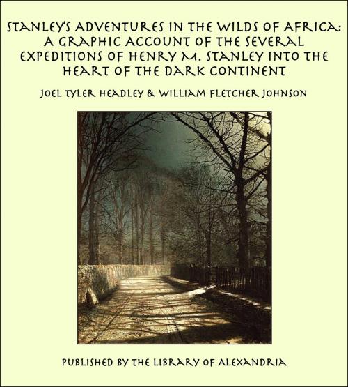Cover of the book Stanry M. Stanley Into the Heart of the Dark Continent by Joel Tyler Headley & William Fletcher Johnson, Library of Alexandria