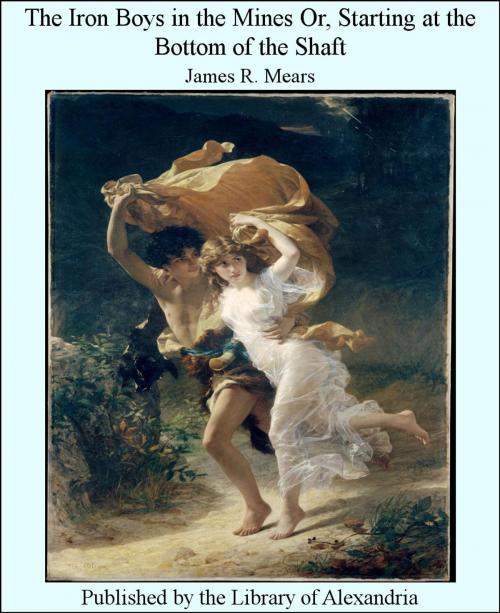 Cover of the book The Iron Boys in The Mines Or, Starting at The Bottom of The Shaft by James R. Mears, Library of Alexandria