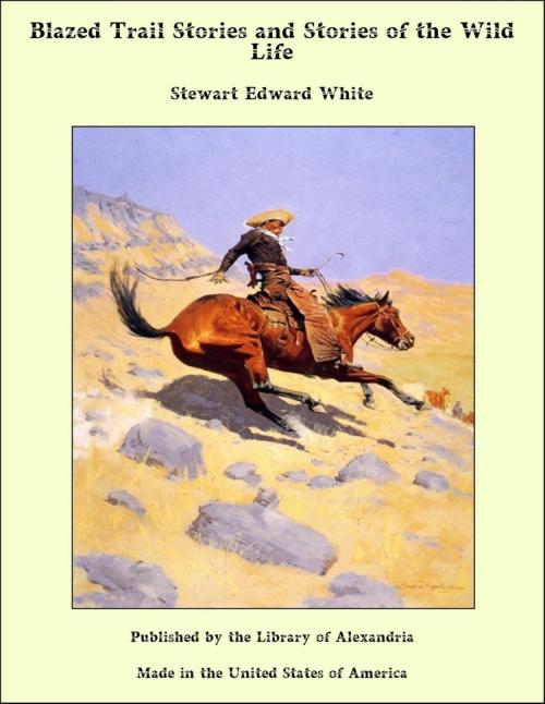 Cover of the book Blazed Trail Stories and Stories of the Wild Life by Stewart Edward White, Library of Alexandria