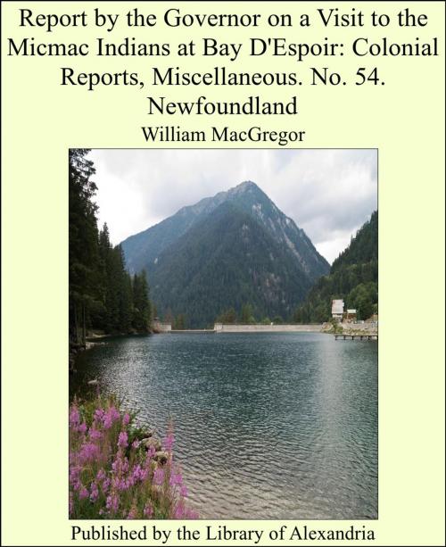 Cover of the book Report by the Governor on a Visit to the Micmac Indians at Bay D'Espoir: Colonial Reports, Miscellaneous. No. 54. Newfoundland by William MacGregor, Library of Alexandria