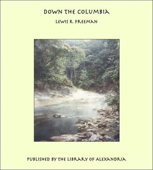 Cover of the book Down The Columbia by Lewis Ransome Freeman, Library of Alexandria