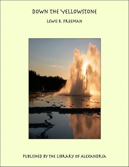 Cover of the book Down the Yellowstone by Lewis R. Freeman, Library of Alexandria