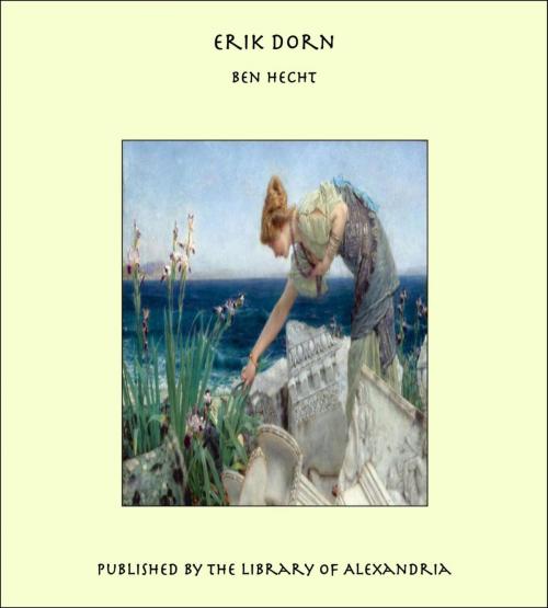 Cover of the book Erik Dorn by Ben Hecht, Library of Alexandria