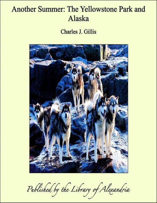 Cover of the book another Summer: The Yellowstone Park and Alaska by Charles J. Gillis, Library of Alexandria