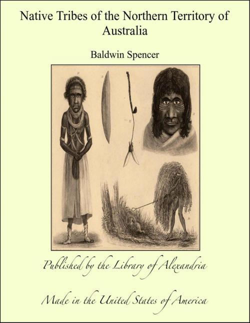 Cover of the book Native Tribes of the Northern Territory of Australia by Baldwin Spencer, Library of Alexandria