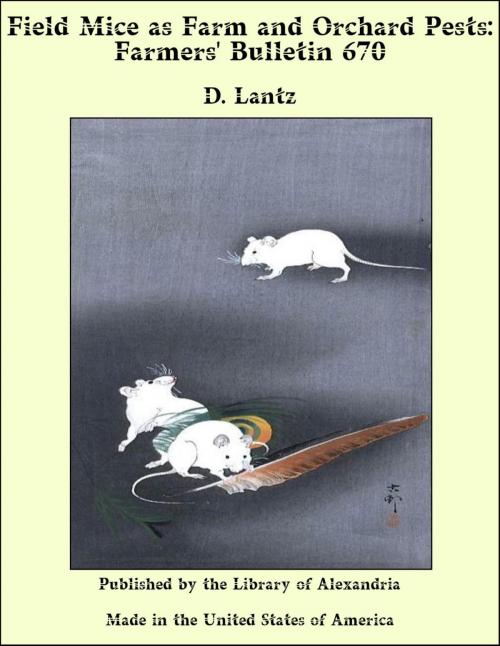 Cover of the book Field Mice as Farm and Orchard Pests: Farmers' Bulletin 670 by D. Lantz, Library of Alexandria