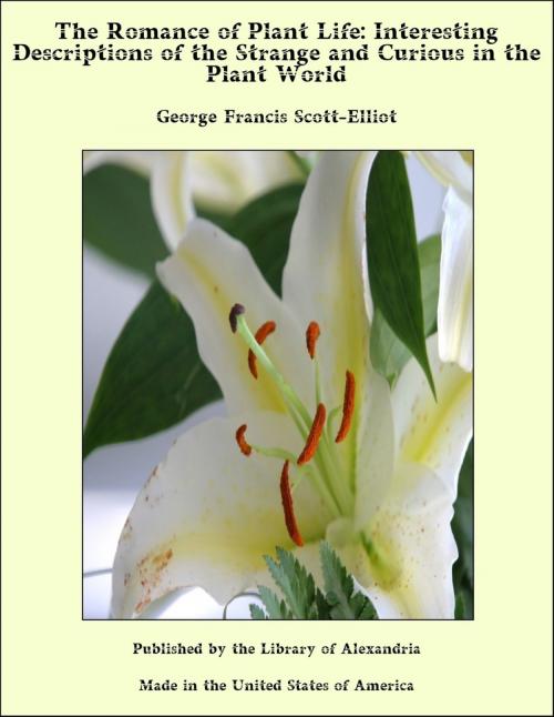 Cover of the book The Romance of Plant Life: Interesting Descriptions of the Strange and Curious in the Plant World by George Francis Scott-Elliot, Library of Alexandria