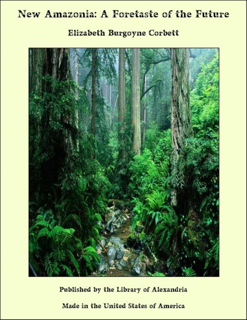 Cover of the book New Amazonia: A Foretaste of the Future by Elizabeth Burgoyne Corbett, Library of Alexandria
