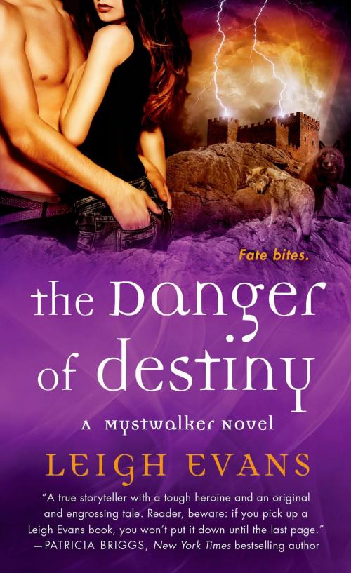 Cover of the book The Danger of Destiny by Leigh Evans, St. Martin's Press