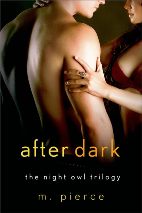 Cover of the book After Dark by M. Pierce, St. Martin's Press