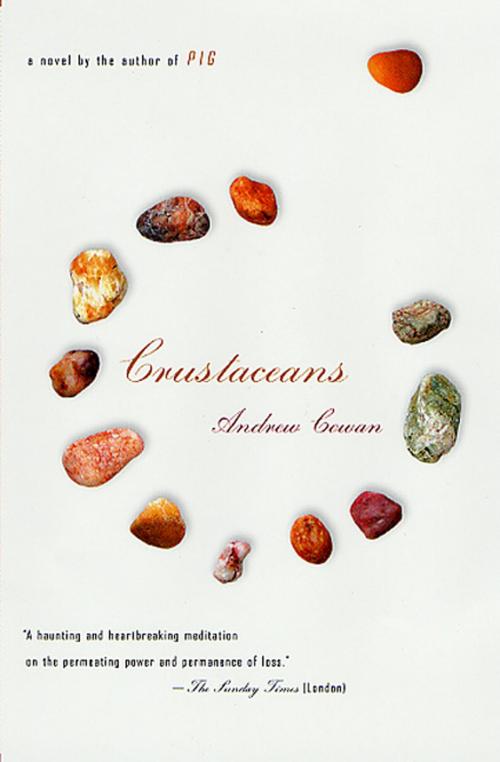 Cover of the book Crustaceans by Andrew Cowan, Picador