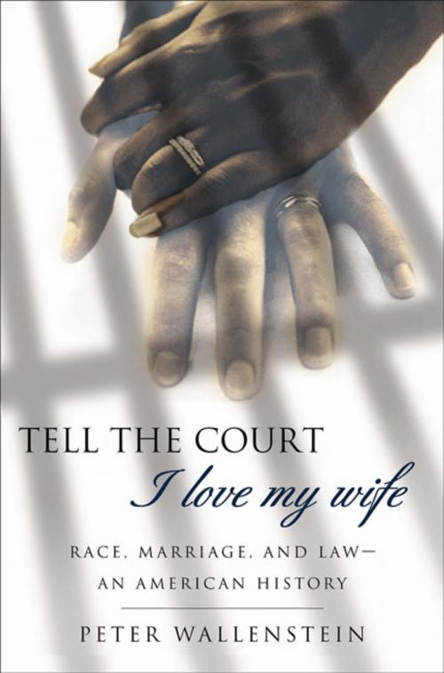 Cover of the book Tell the Court I Love My Wife by Peter Wallenstein, St. Martin's Press