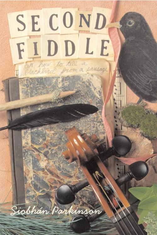 Cover of the book Second Fiddle by Siobhan Parkinson, Roaring Brook Press
