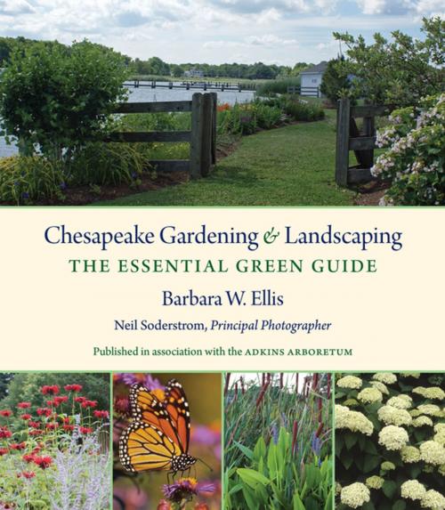 Cover of the book Chesapeake Gardening and Landscaping by Barbara W. Ellis, The University of North Carolina Press