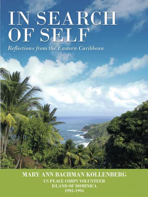 Cover of the book In Search of Self by Mary Ann Bachman Kollenberg, Archway Publishing