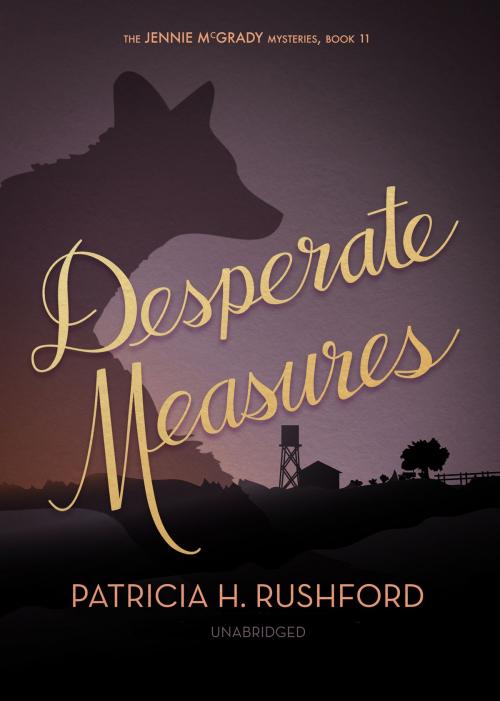 Cover of the book Desperate Measures by Patricia H. Rushford, Blackstone Publishing