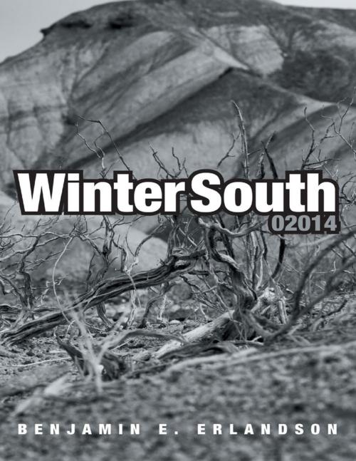Cover of the book Winter South 02014 by Benjamin E. Erlandson, Lulu Publishing Services