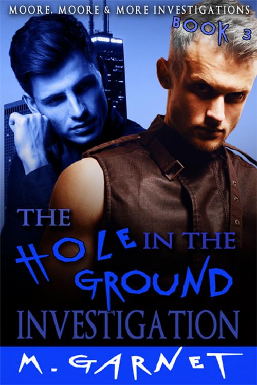 Cover of the book The Hole In the Ground Investigation by M. Garnet, eXtasy Books Inc