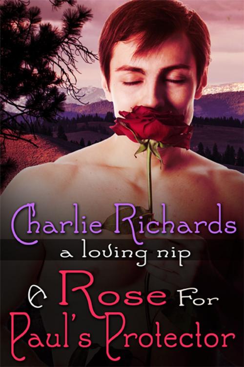 Cover of the book A Rose for Paul's Protector by Charlie Richards, eXtasy Books Inc