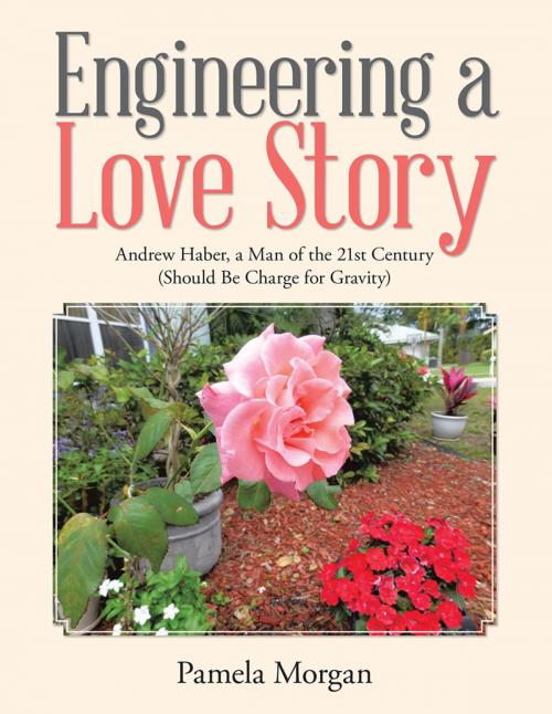 Cover of the book Engineering a Love Story by Pamela Morgan, Trafford Publishing