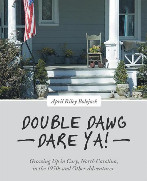 Cover of the book Double Dawg Dare Ya! by April Riley Bolejack, WestBow Press