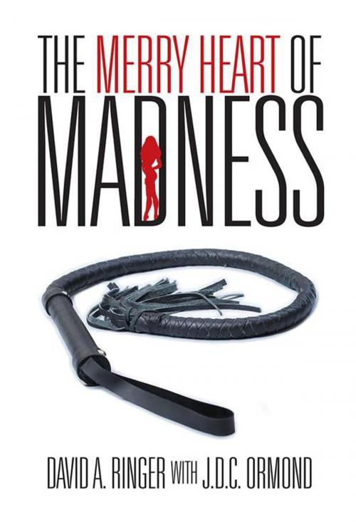 Cover of the book The Merry Heart of Madness by David A. Ringer, iUniverse