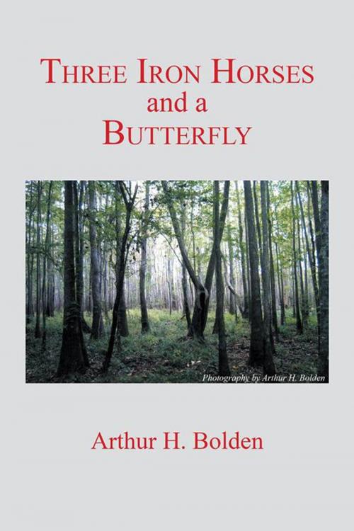 Cover of the book Three Iron Horses and a Butterfly by Arthur H. Bolden, AuthorHouse