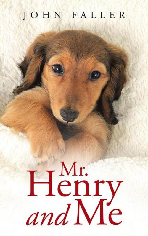 Cover of the book Mr. Henry and Me by John Faller, AuthorHouse