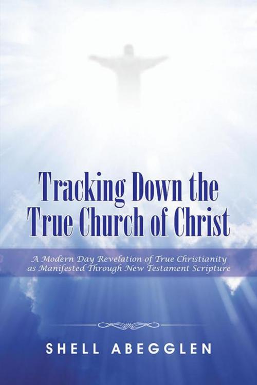 Cover of the book Tracking Down the True Church of Christ by Shell Abegglen, AuthorHouse