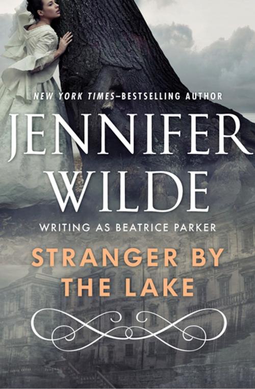Cover of the book Stranger by the Lake by Jennifer Wilde, Open Road Media