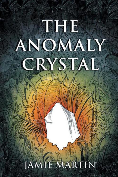 Cover of the book The Anomaly Crystal by Jamie Martin, Xlibris UK