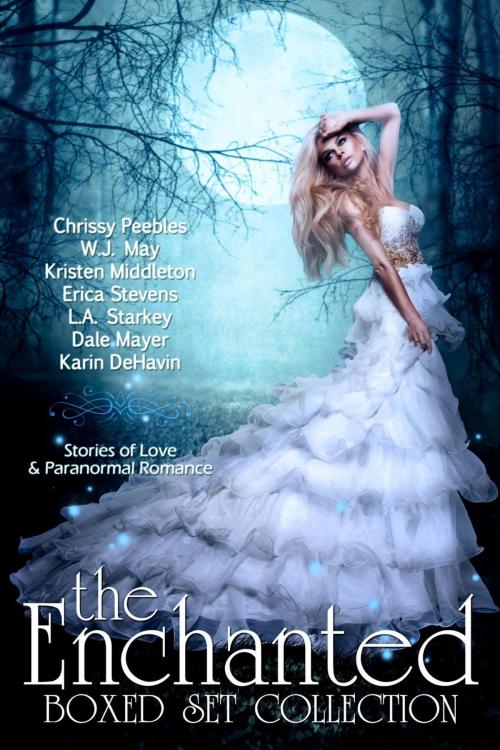 Cover of the book The Enchanted Box Set Collection: Stories of Love & Paranormal Romance by Chrissy Peebles, W.J. May, Erica Stevens, Kristen Middleton, Dale Mayer, L.A. Starkey, Karin DeHavin, Dark Shadows Publishing