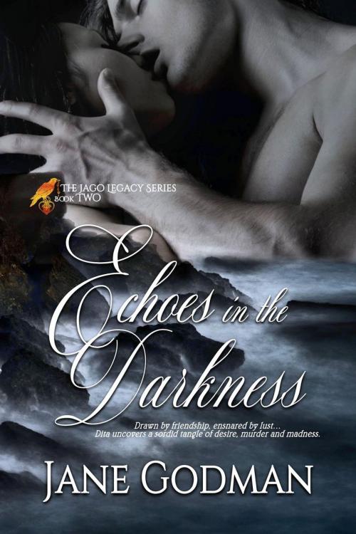Cover of the book Echoes in the Darkness by Jane Godman, Jane Godman