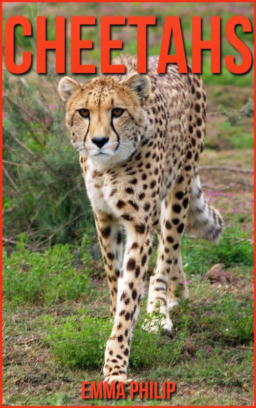 Cover of the book Cheetahs by Emma Philip, Emma Philip