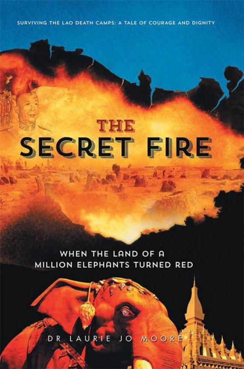 Cover of the book The Secret Fire by Dr Laurie Jo Moore, Xlibris AU