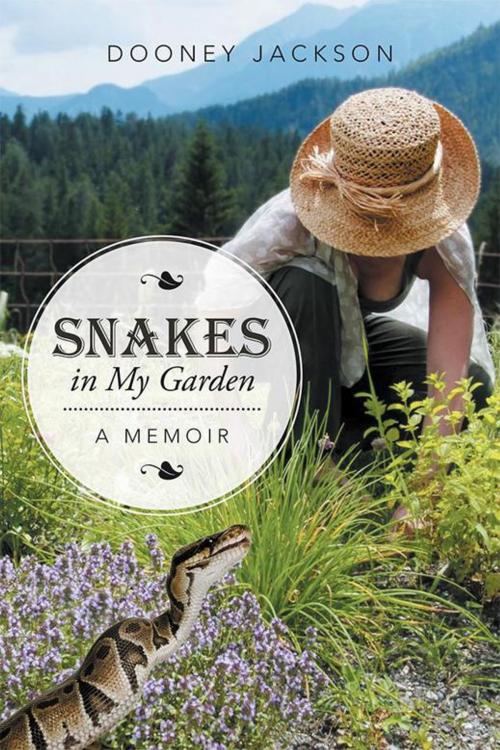 Cover of the book Snakes in My Garden by Dooney Jackson, Xlibris US